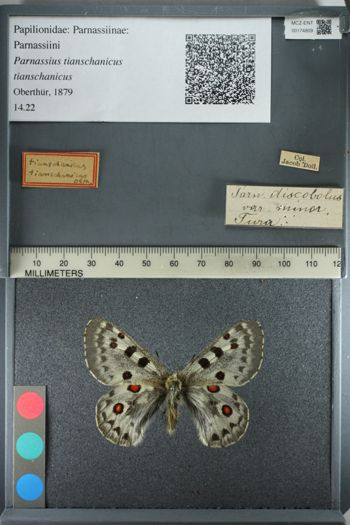 Media type: image;   Entomology 174809